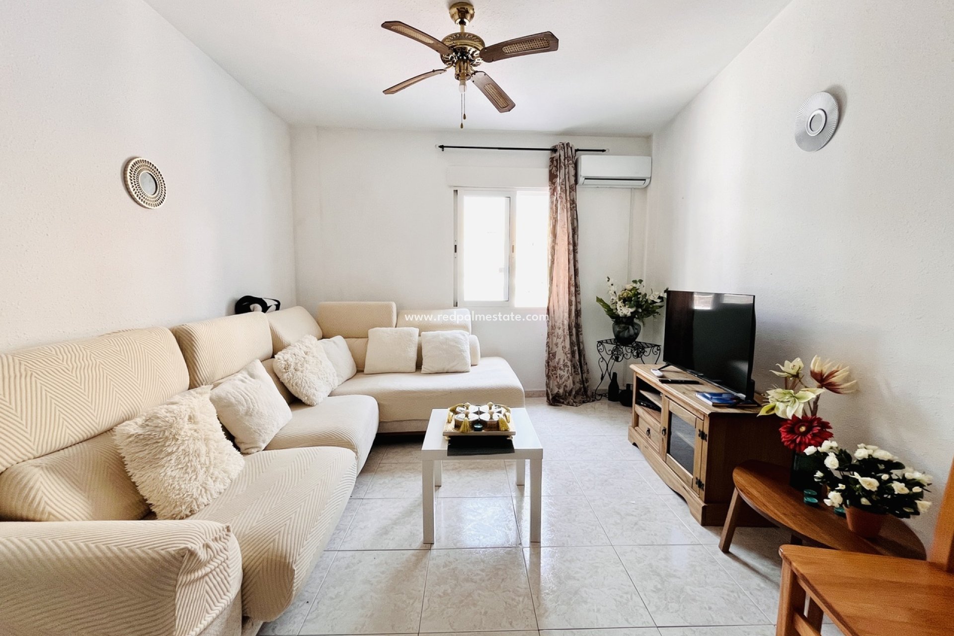 Resale - Business -
San Miguel de Salinas - Inland