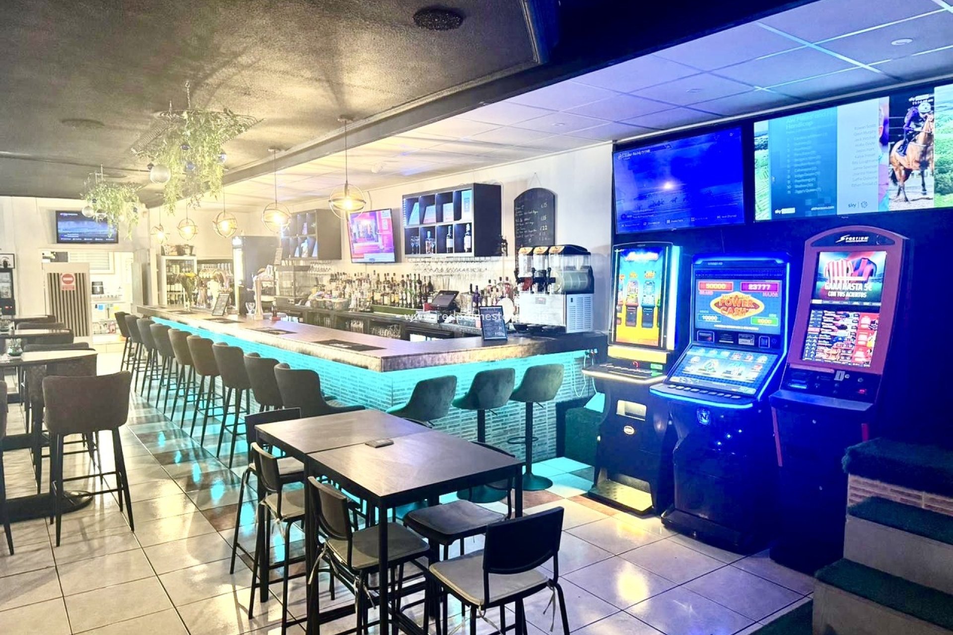 Resale - Business -
San Miguel de Salinas - Inland