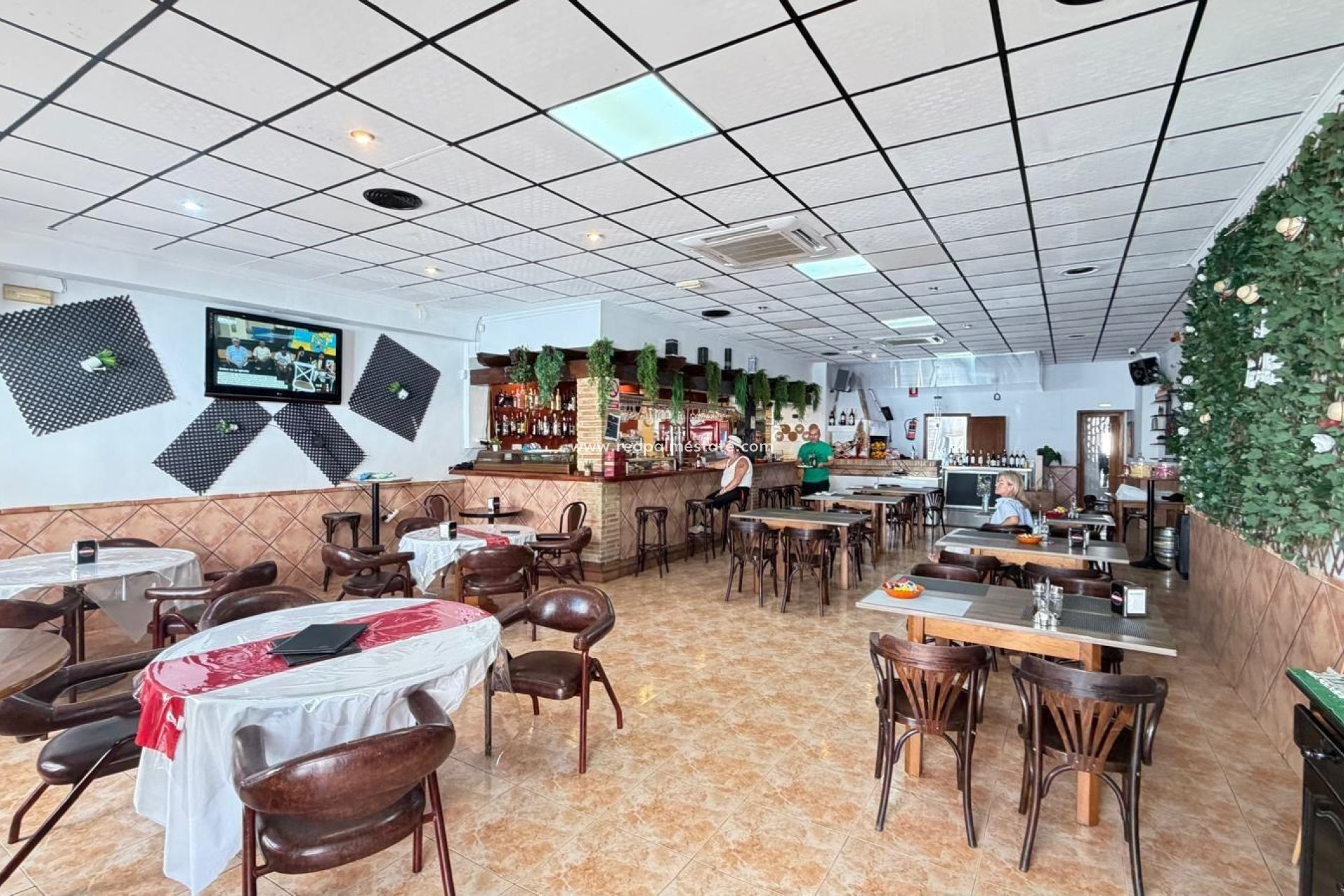 Resale - Business -
Torrevieja - Centro Torrevieja