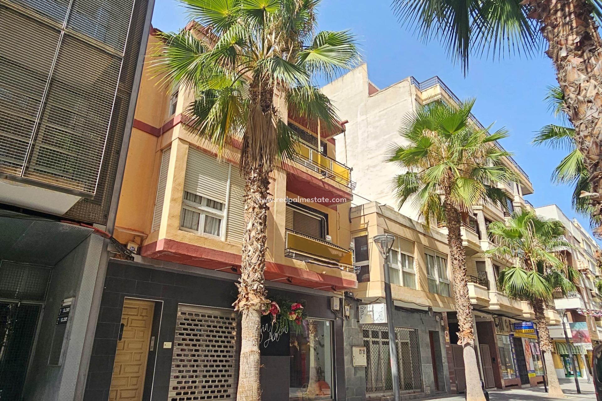 Resale - Business -
Torrevieja - Centro Torrevieja