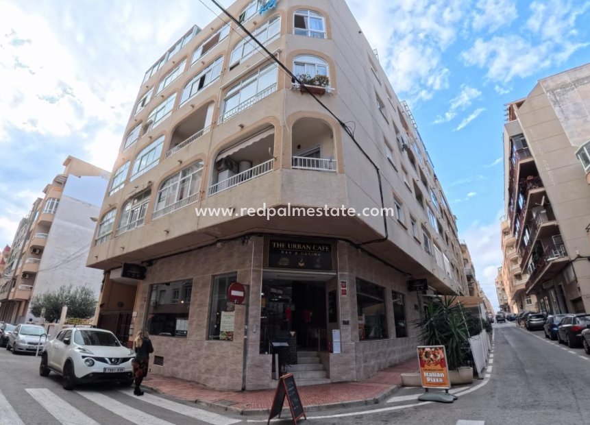 Resale - Business -
Torrevieja - Centro Torrevieja