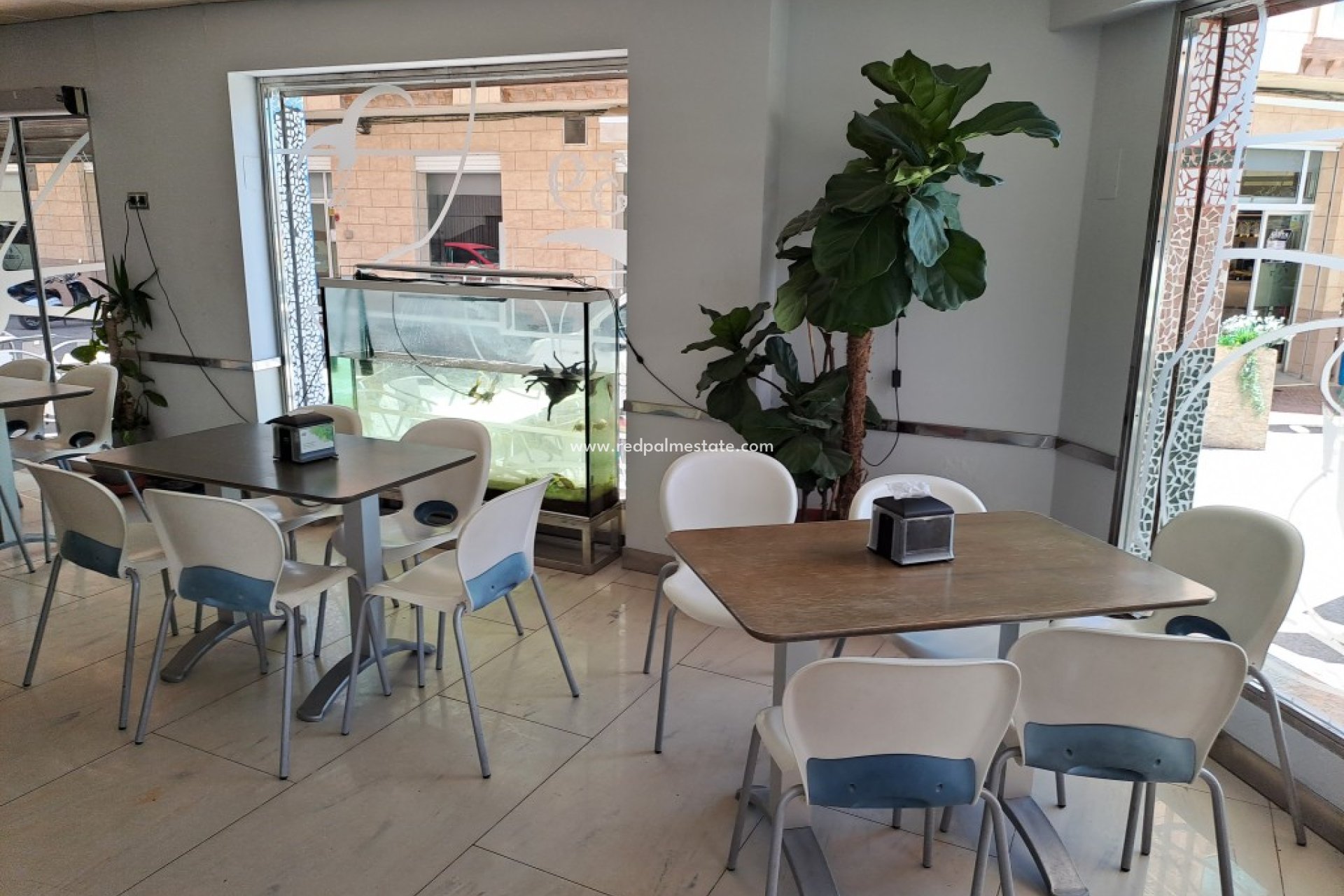 Resale - Business -
Torrevieja - Costa Blanca