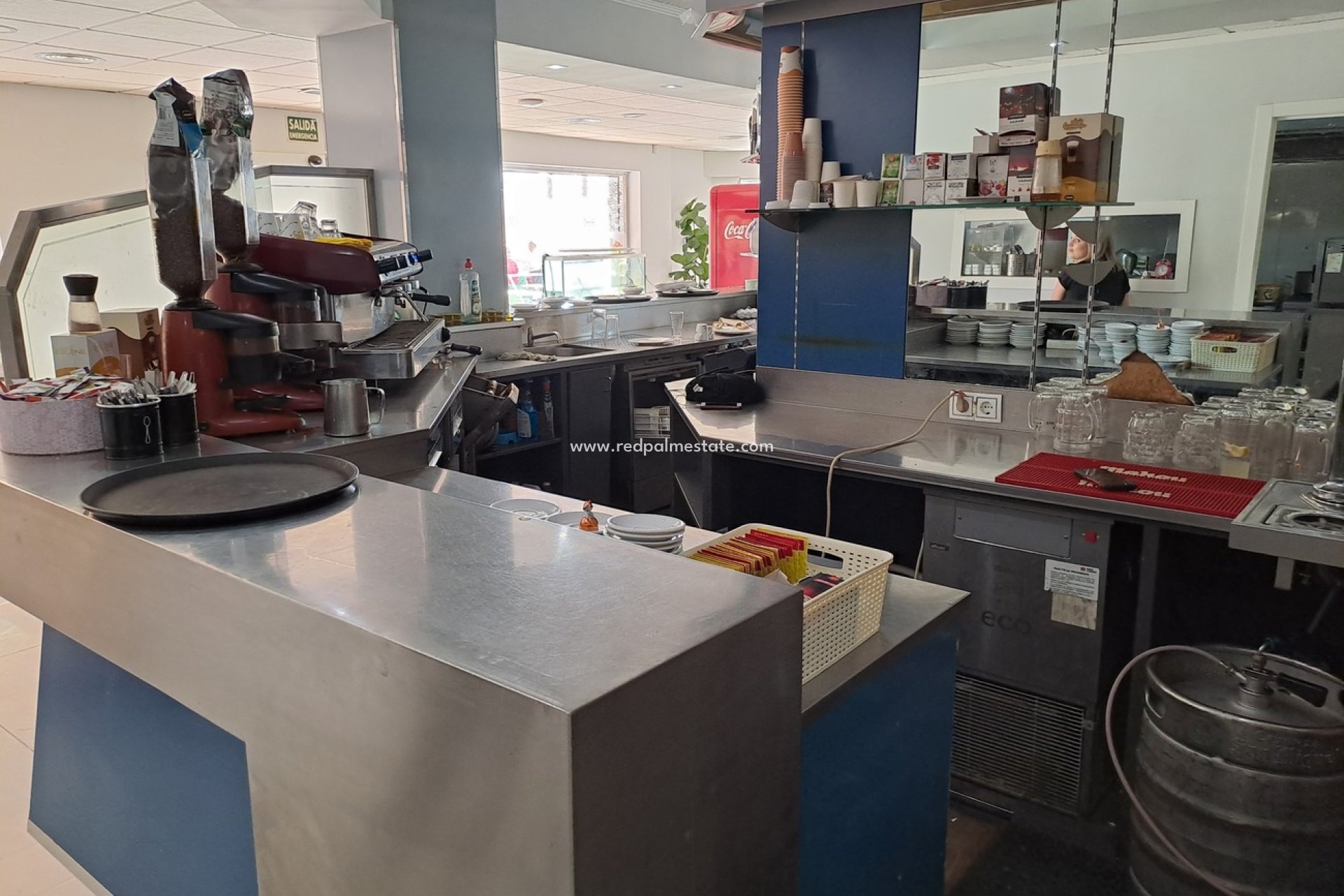 Resale - Business -
Torrevieja - Costa Blanca