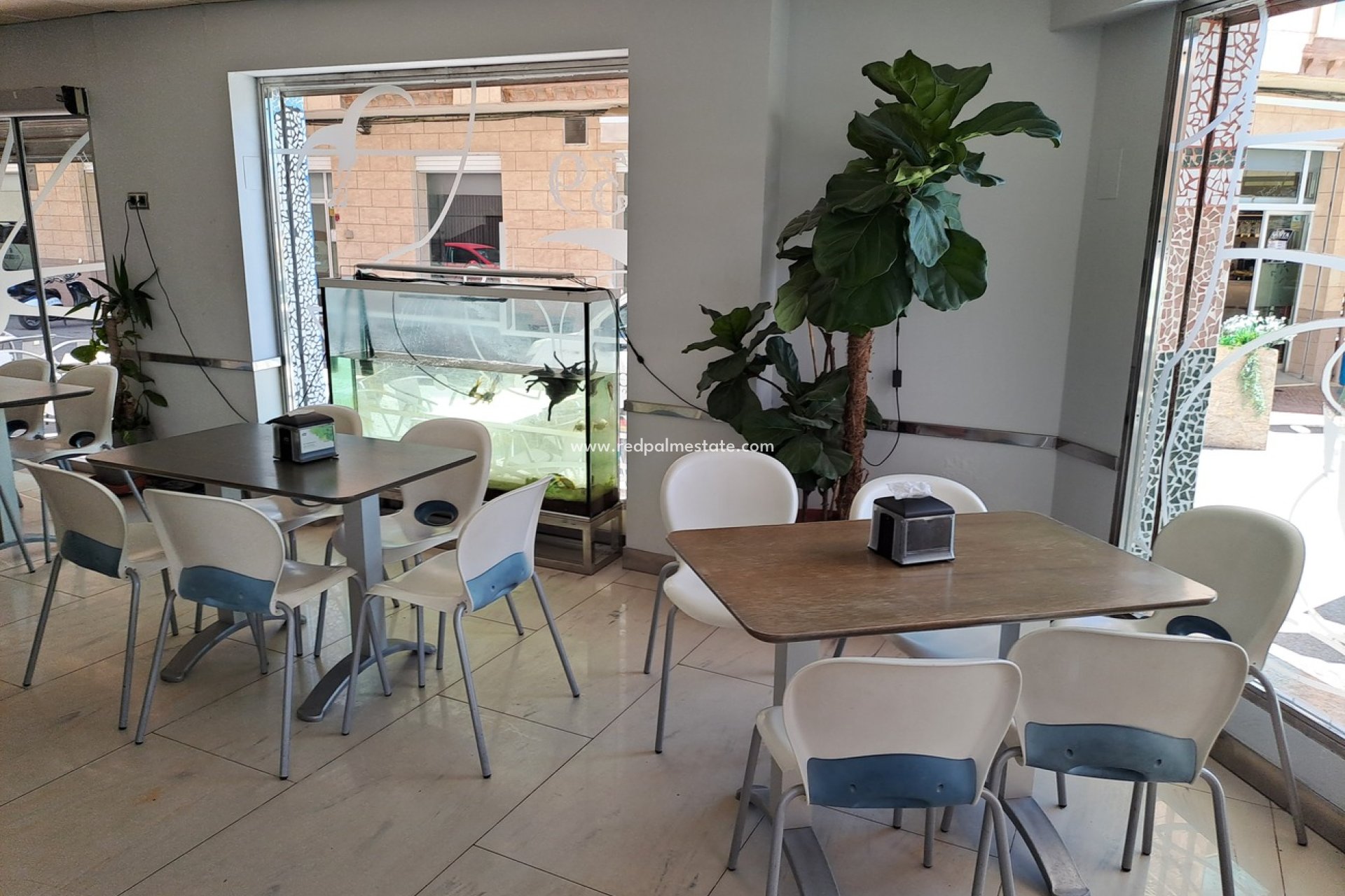 Resale - Business -
Torrevieja - La Mata