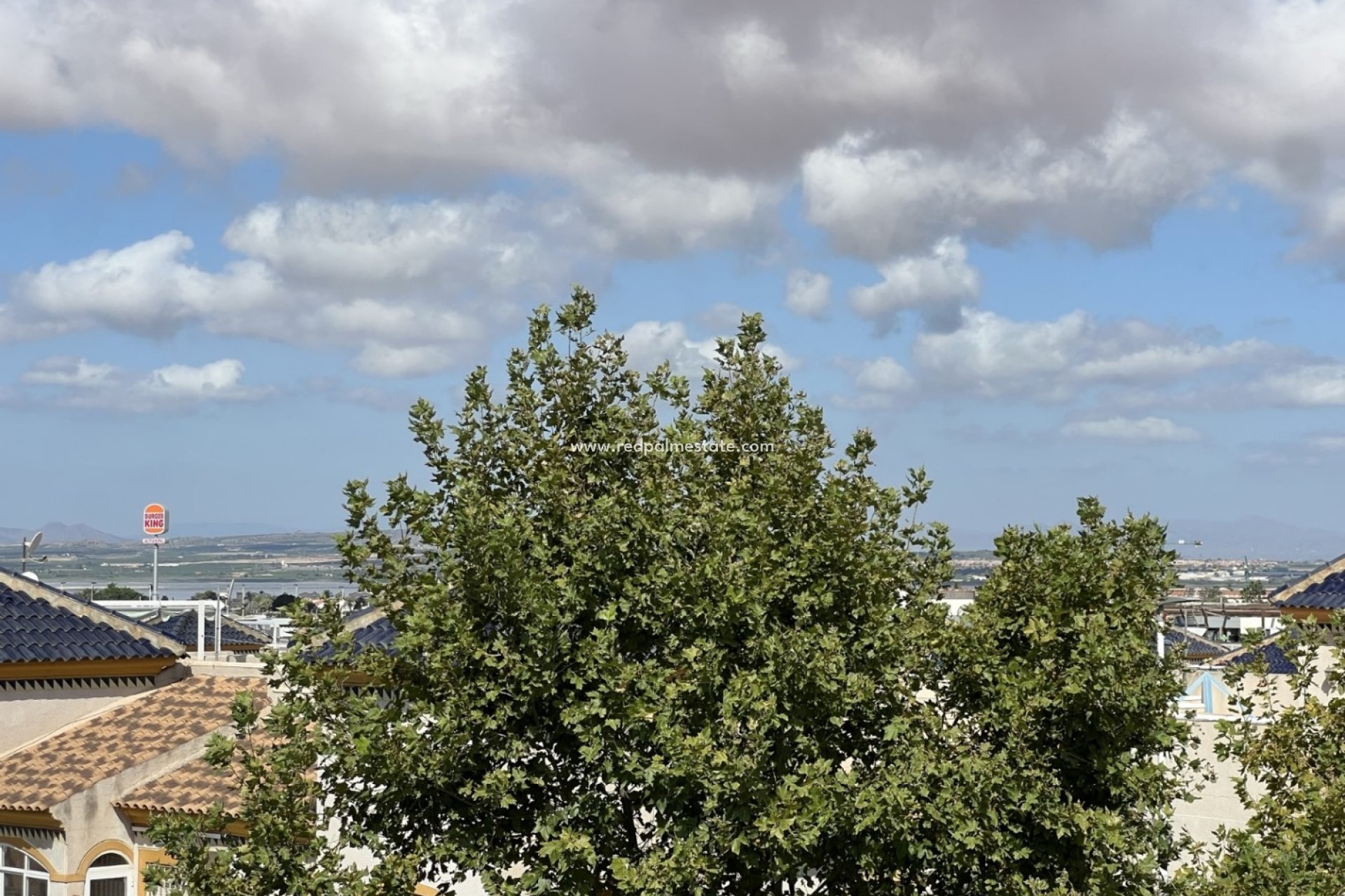 Resale - Business -
Torrevieja
