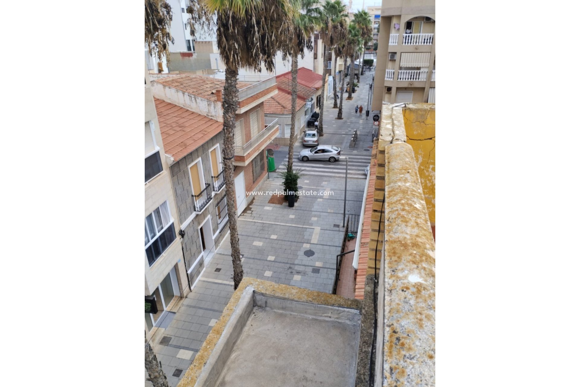 Resale - Business -
Torrevieja