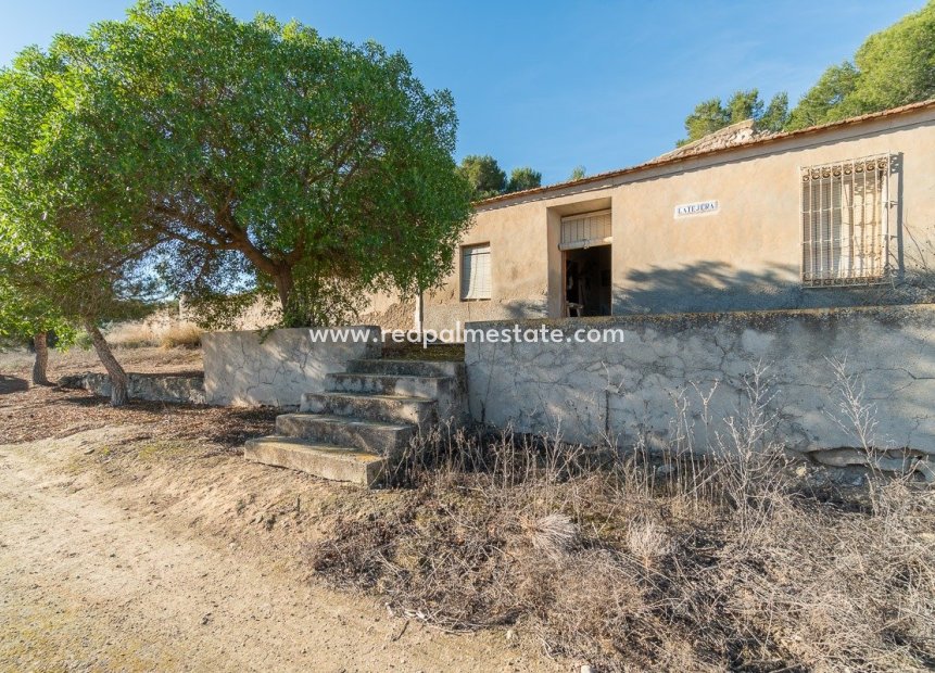 Resale - Country House -
Pilar de la Horadada - Pinar de la Perdiz