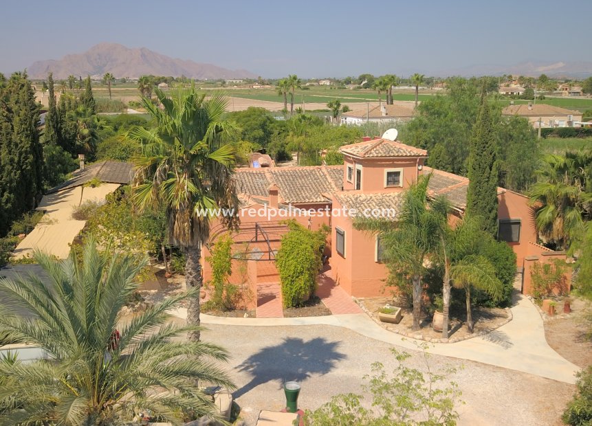 Resale - Country Property -
Catral