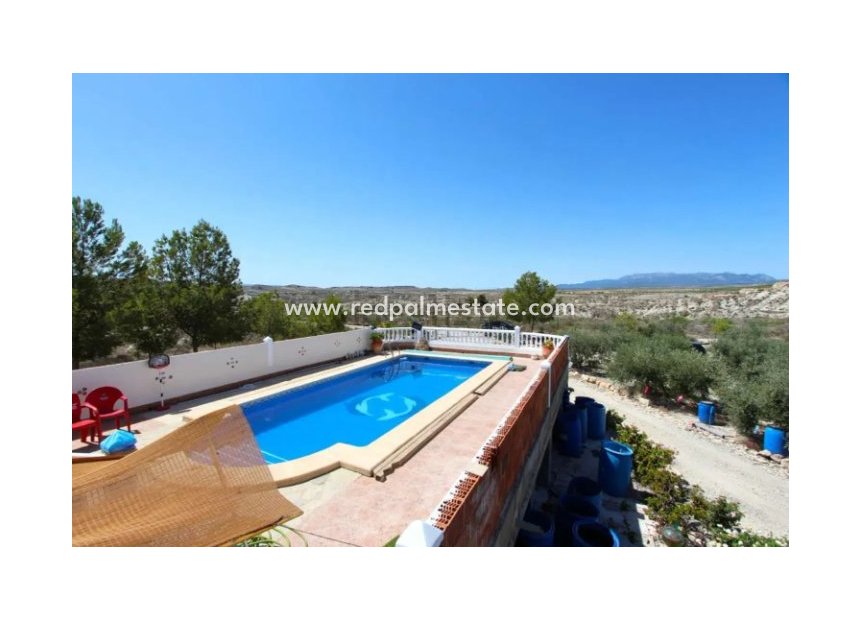 Resale - Detached Villa -
Albudeite - Inland