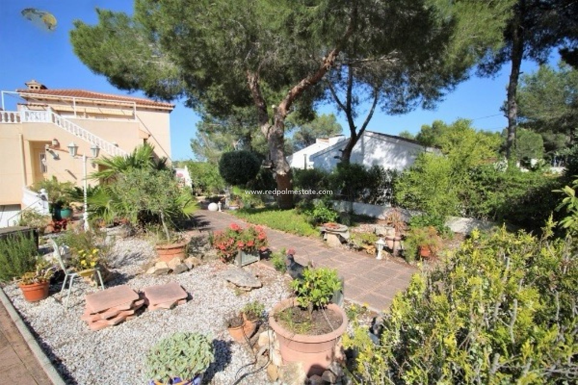 Resale - Detached Villa -
Campo Verde