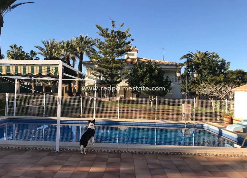 Resale - Detached Villa -
Orihuela Costa - Costa Blanca