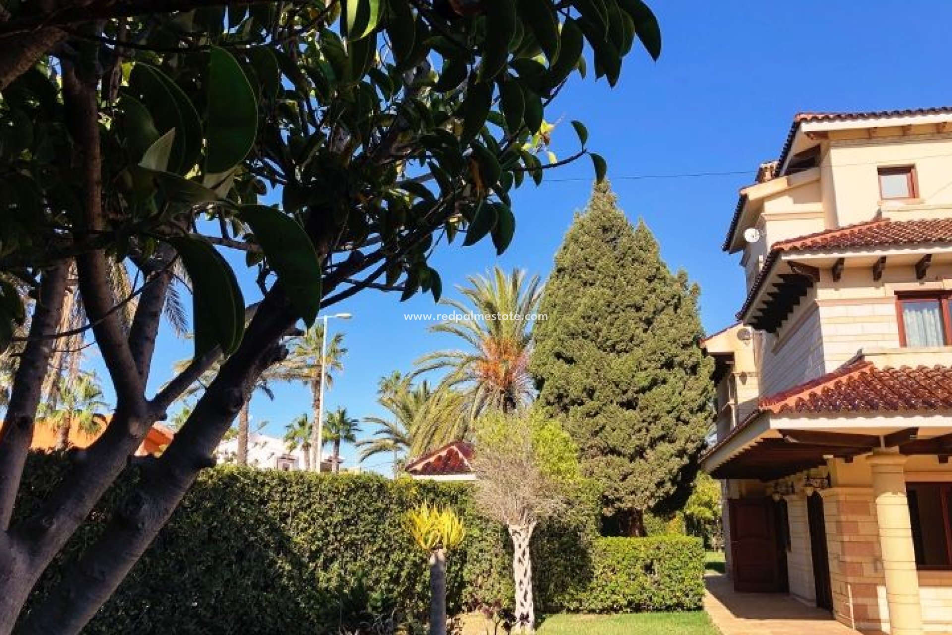 Resale - Detached Villa -
Orihuela Costa - Costa Blanca