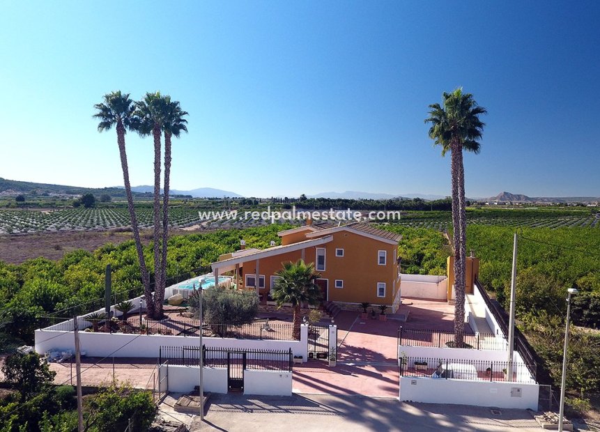 Resale - Detached Villa -
Orihuela Costa - Inland