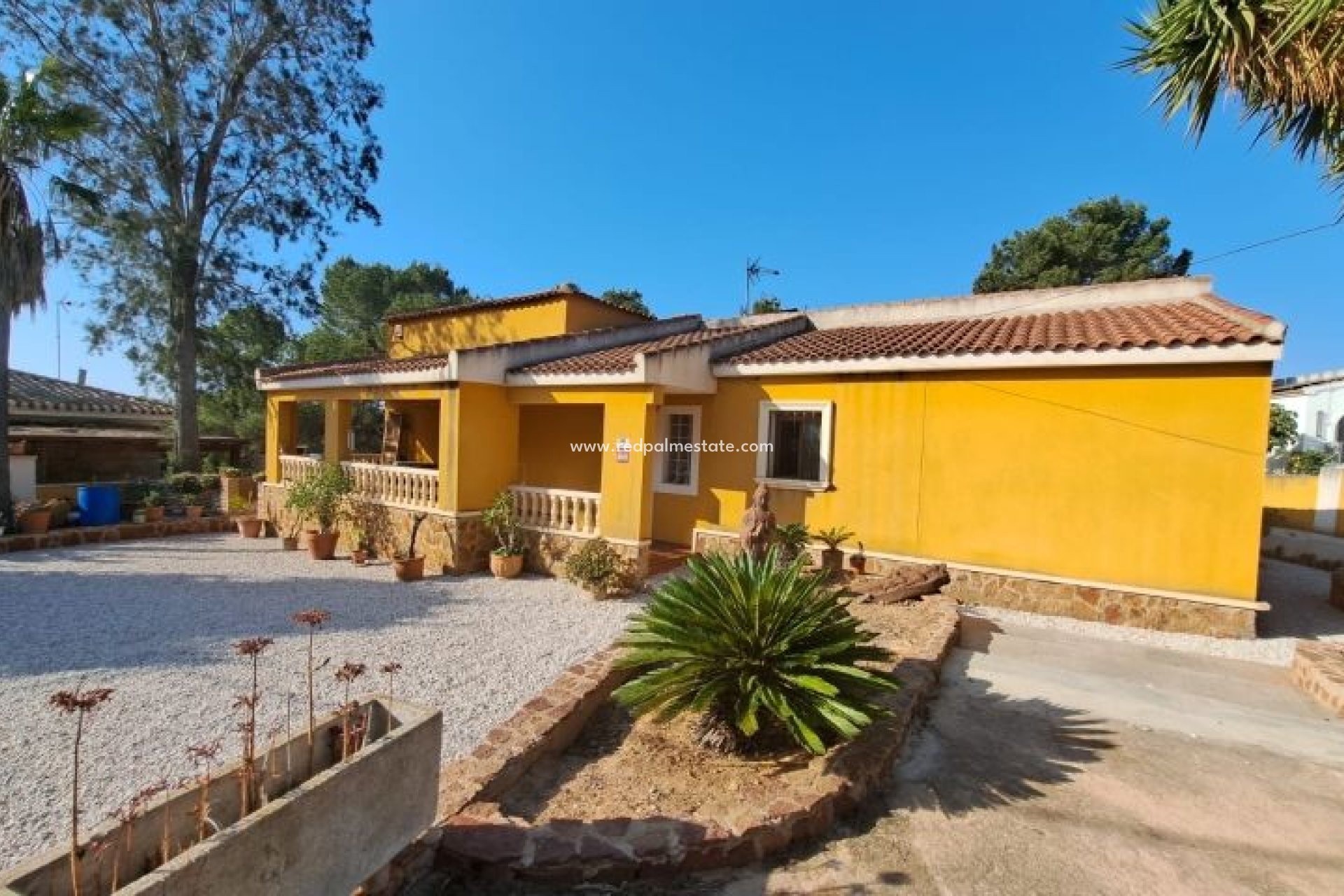 Resale - Detached Villa -
Pinar de Campoverde - Inland