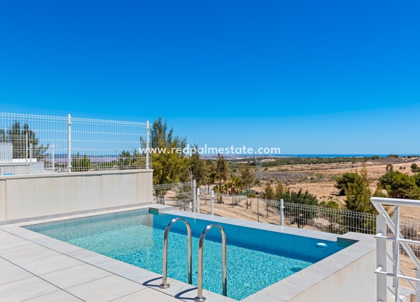 Resale - Detached Villa -
San Miguel de Salinas - Inland