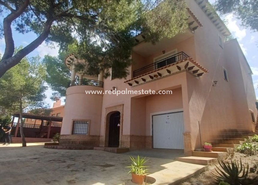 Resale - Detached Villa -
San Miguel de Salinas - Inland