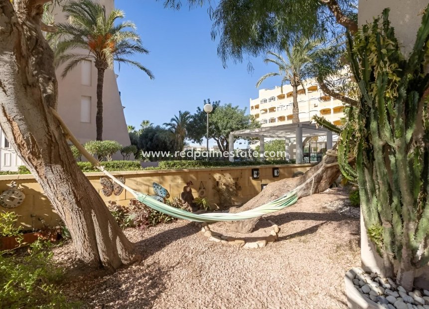 Resale - Detached Villa -
Torrevieja - Torreblanca