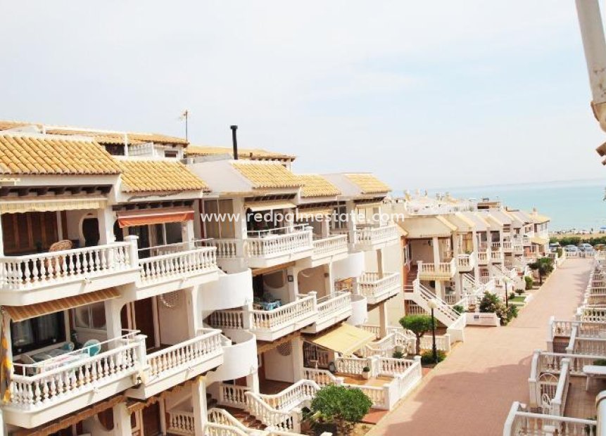 Resale - Duplex -
Guardamar del Segura - Benamor