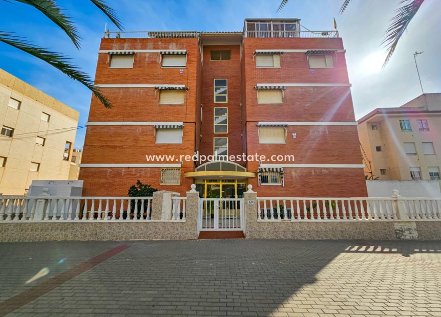 Resale - Duplex -
Guardamar del Segura - Costa Blanca