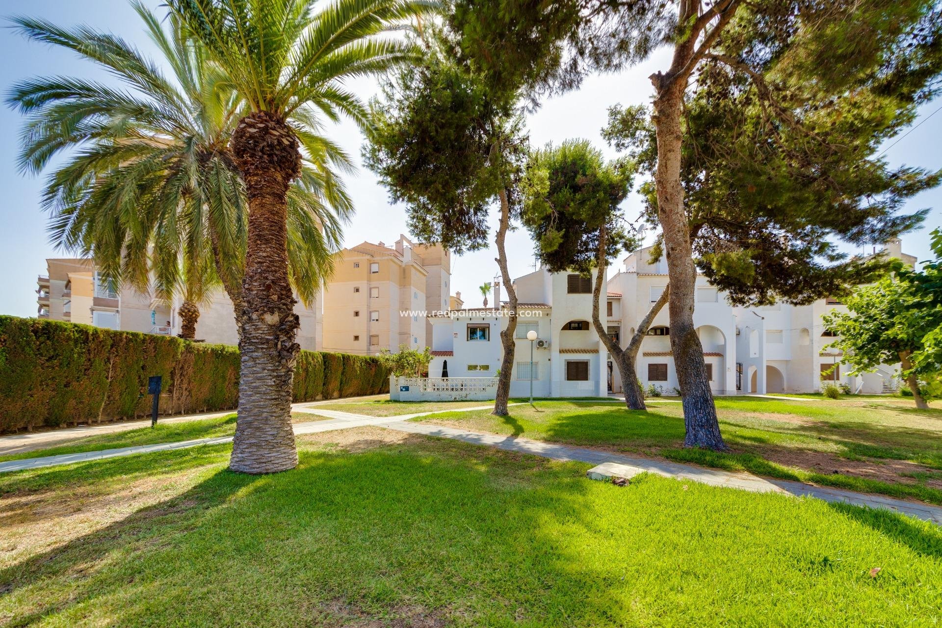 Resale - Duplex -
Torrevieja - Calas blanca