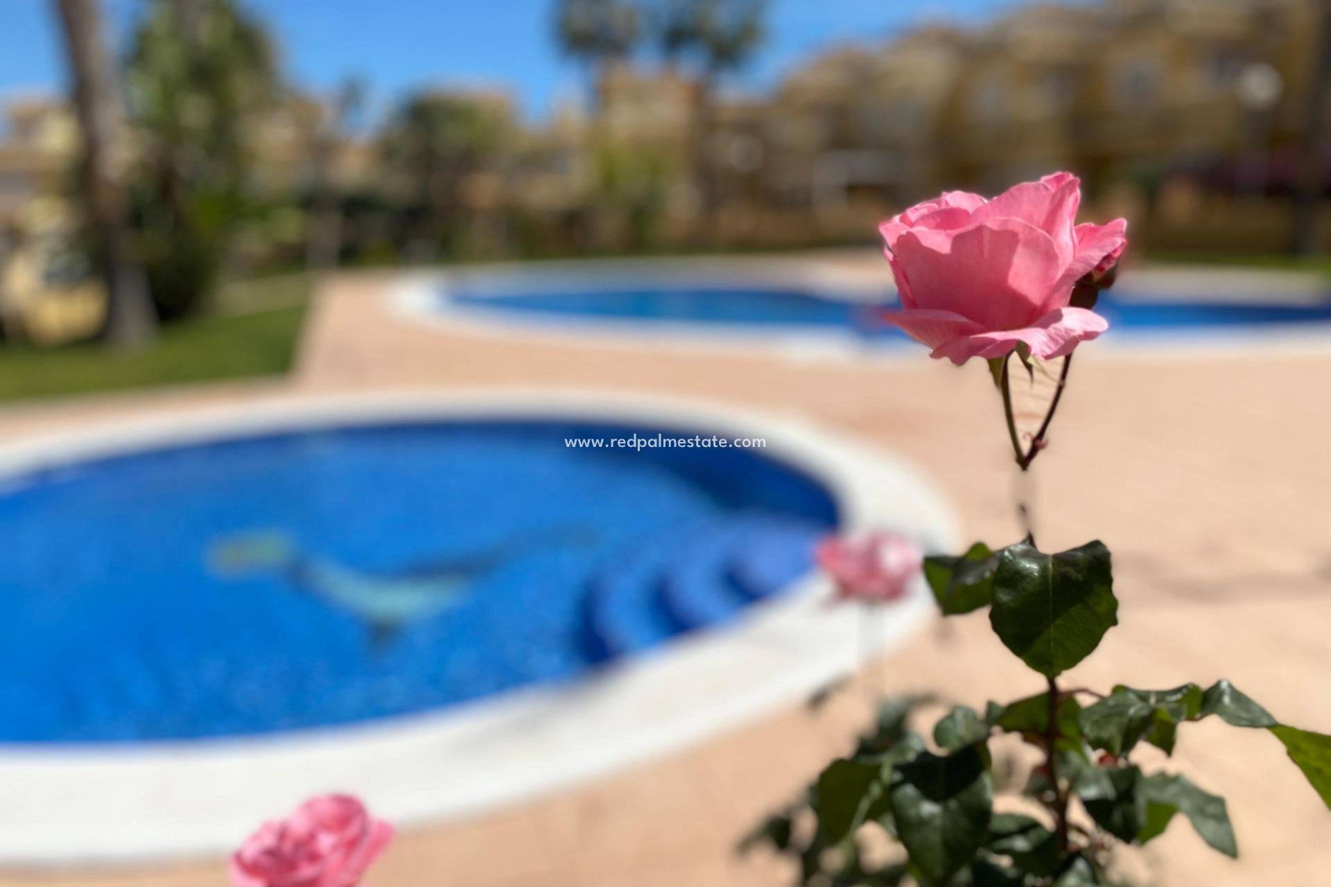 Resale - Duplex -
Torrevieja - Los Altos