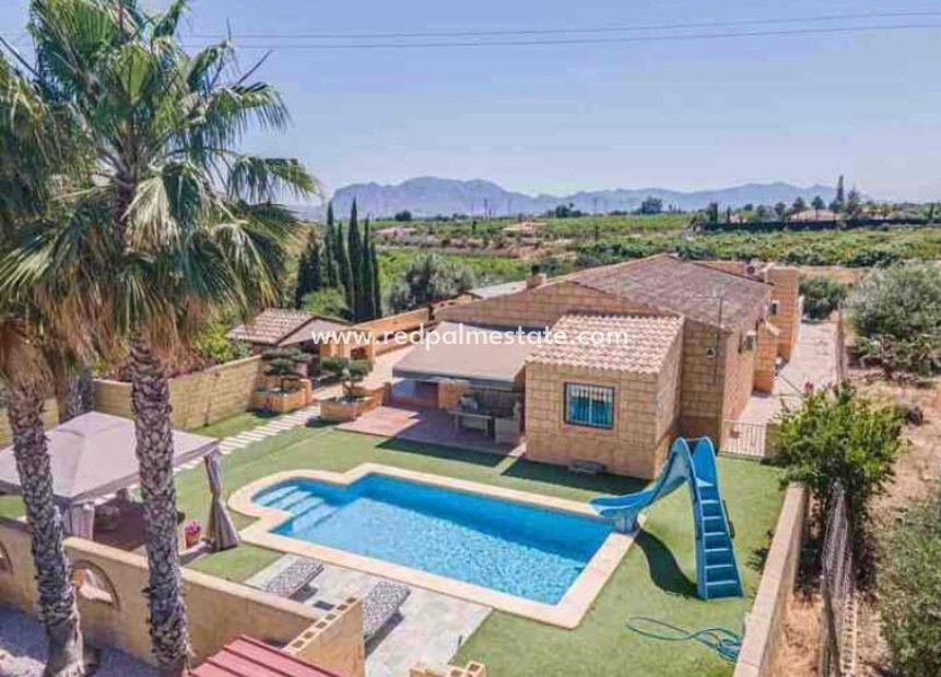 Resale - Finca / Country Property -
Albatera - Inland