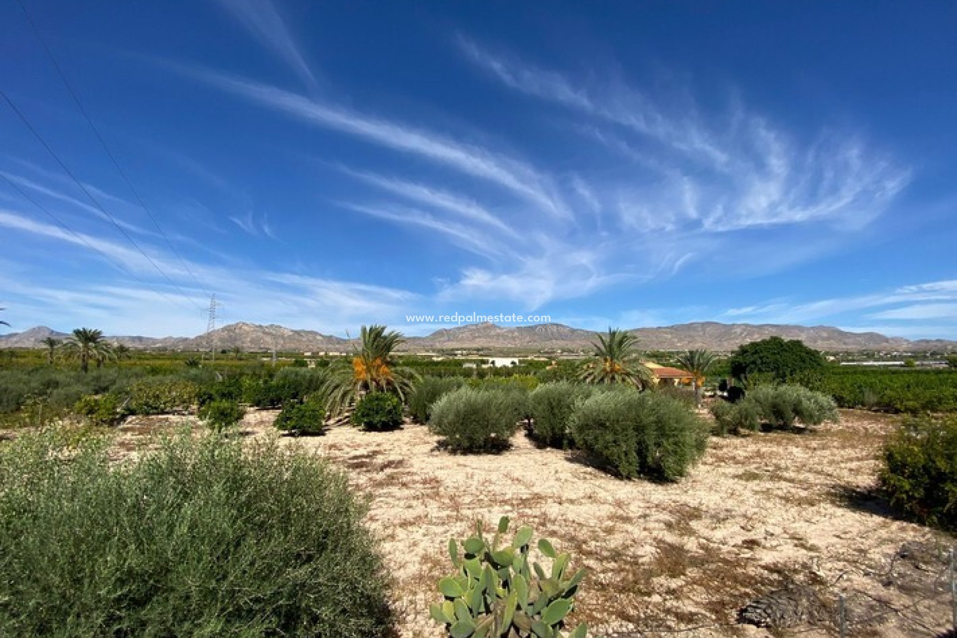 Resale - Finca / Country Property -
Albatera - Inland