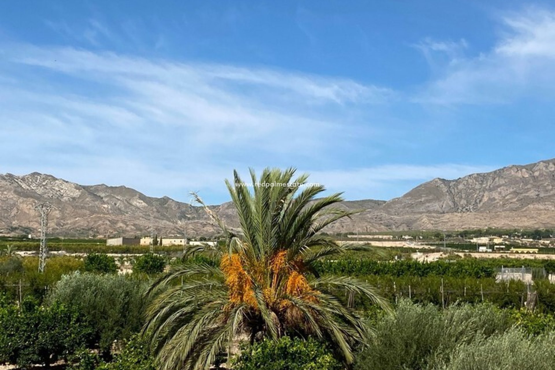 Resale - Finca / Country Property -
Albatera - Inland