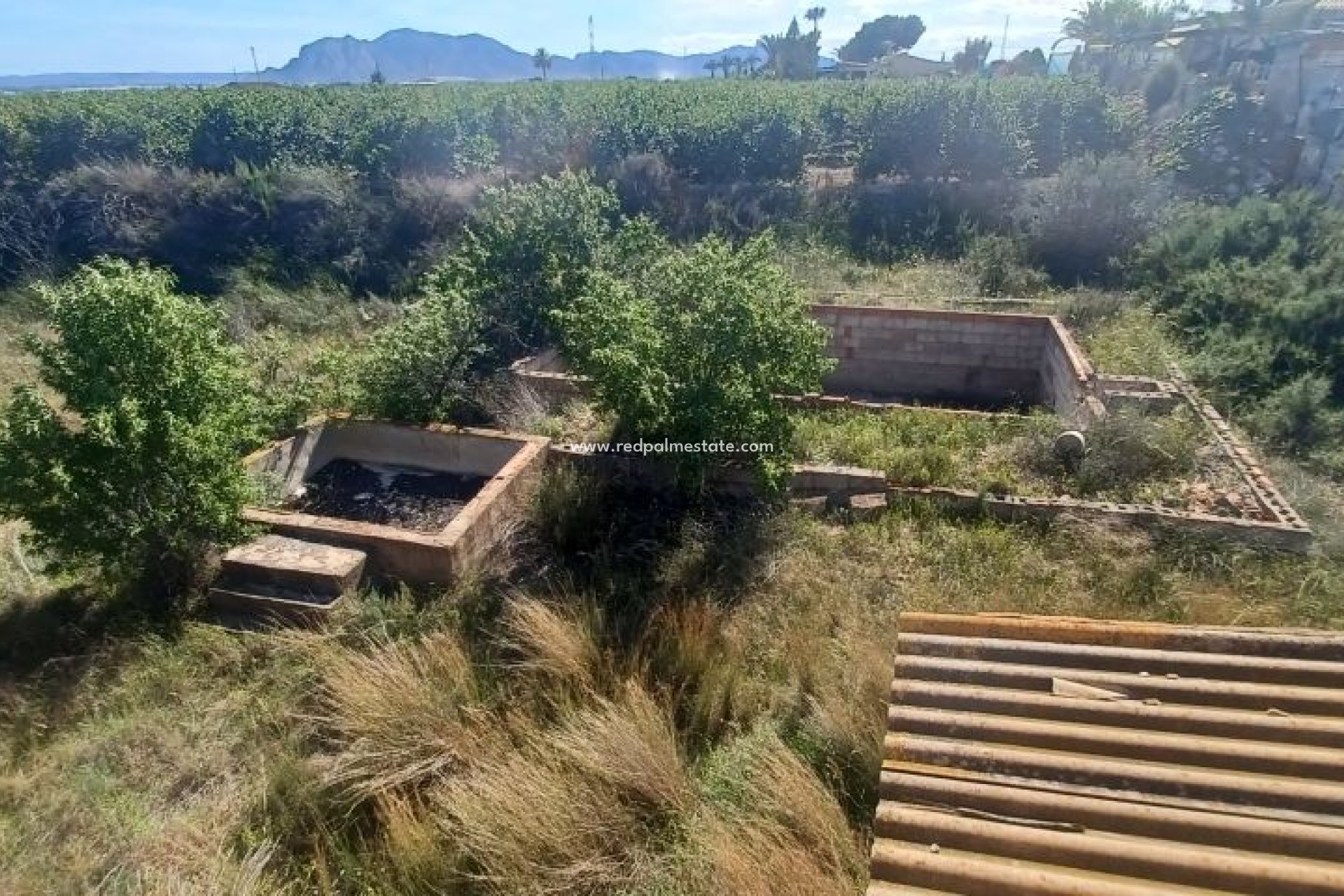 Resale - Finca / Country Property -
Albatera - Inland