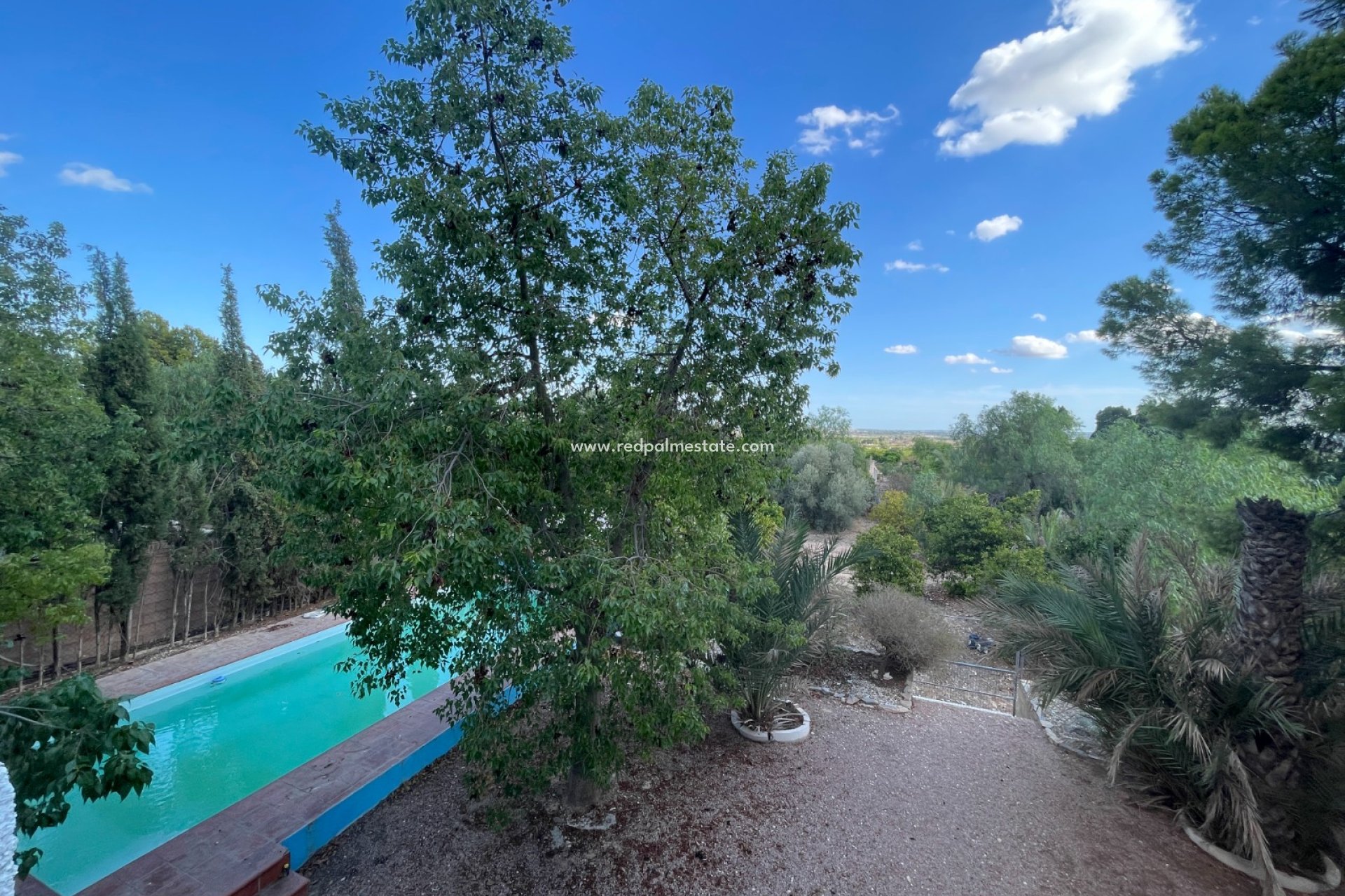 Resale - Finca / Country Property -
Albatera - Inland