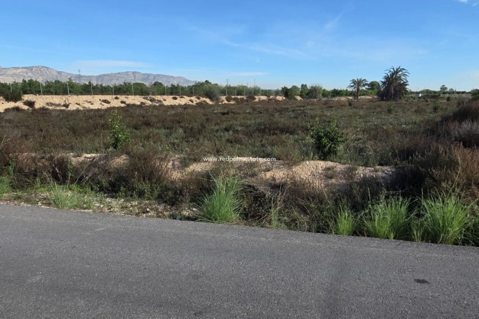 Resale - Finca / Country Property -
Albatera - Inland