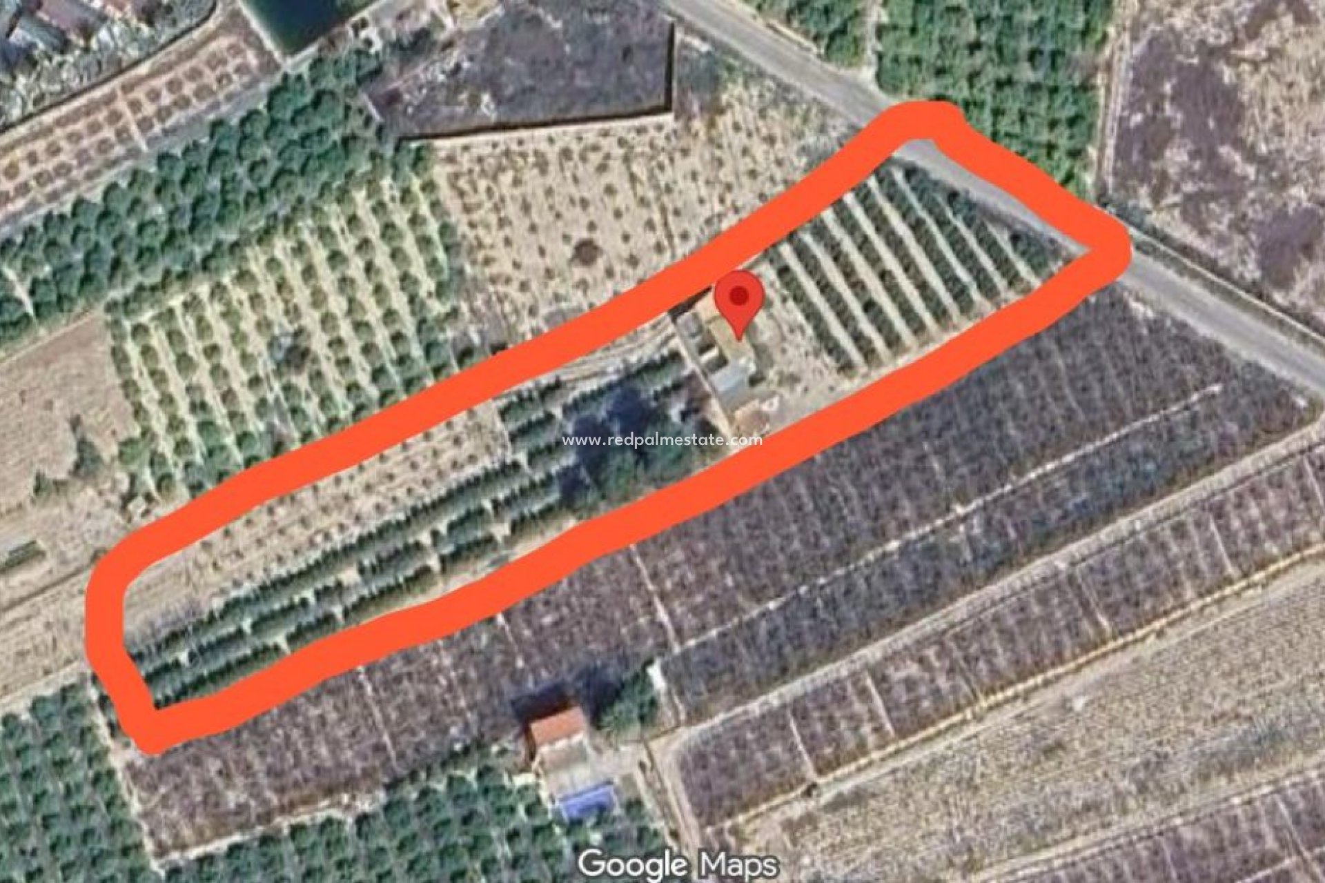 Resale - Finca / Country Property -
Albatera - Inland