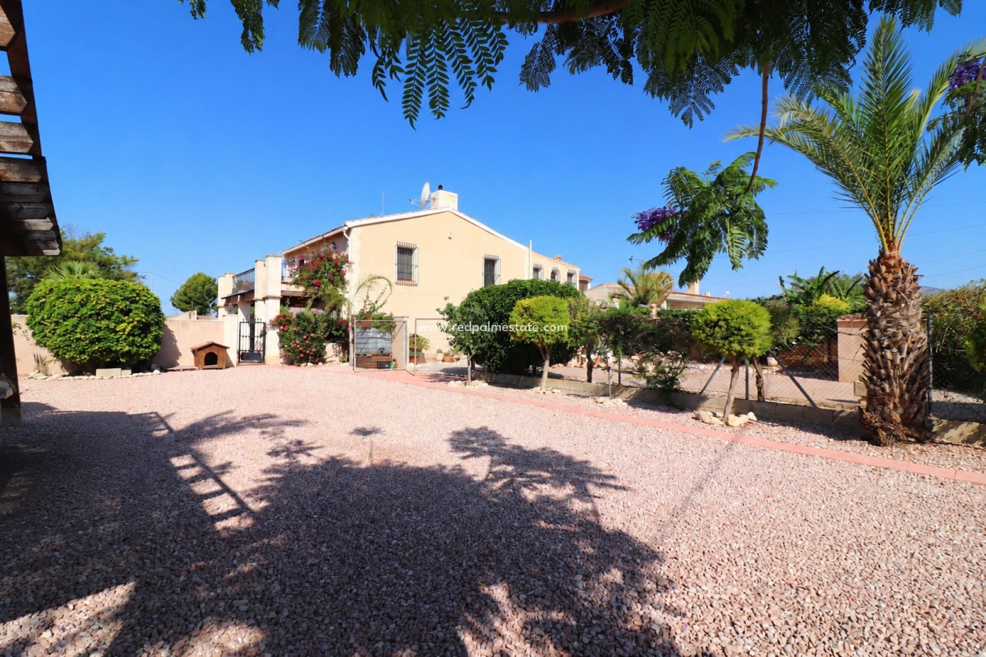Resale - Finca / Country Property -
Albatera