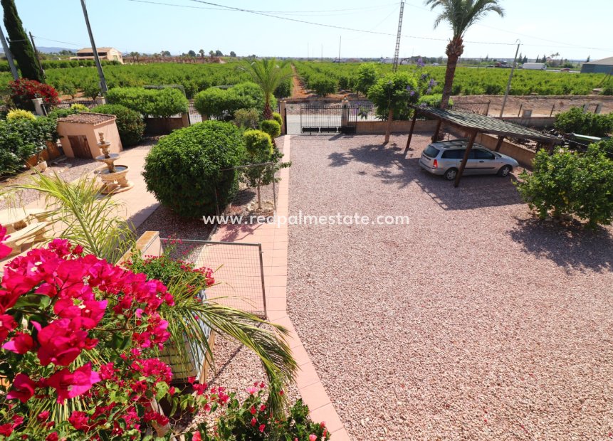 Resale - Finca / Country Property -
Albatera