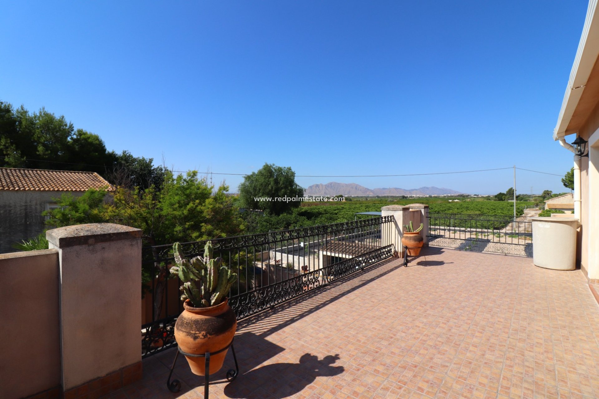 Resale - Finca / Country Property -
Albatera