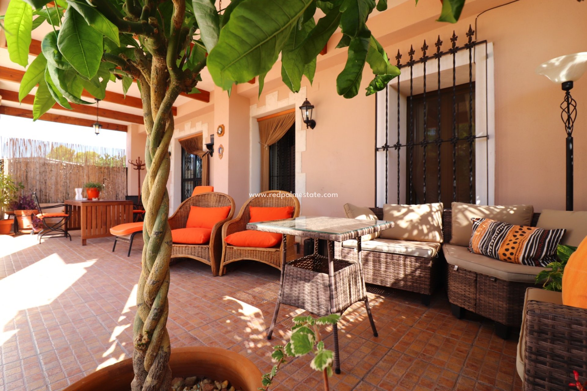 Resale - Finca / Country Property -
Albatera