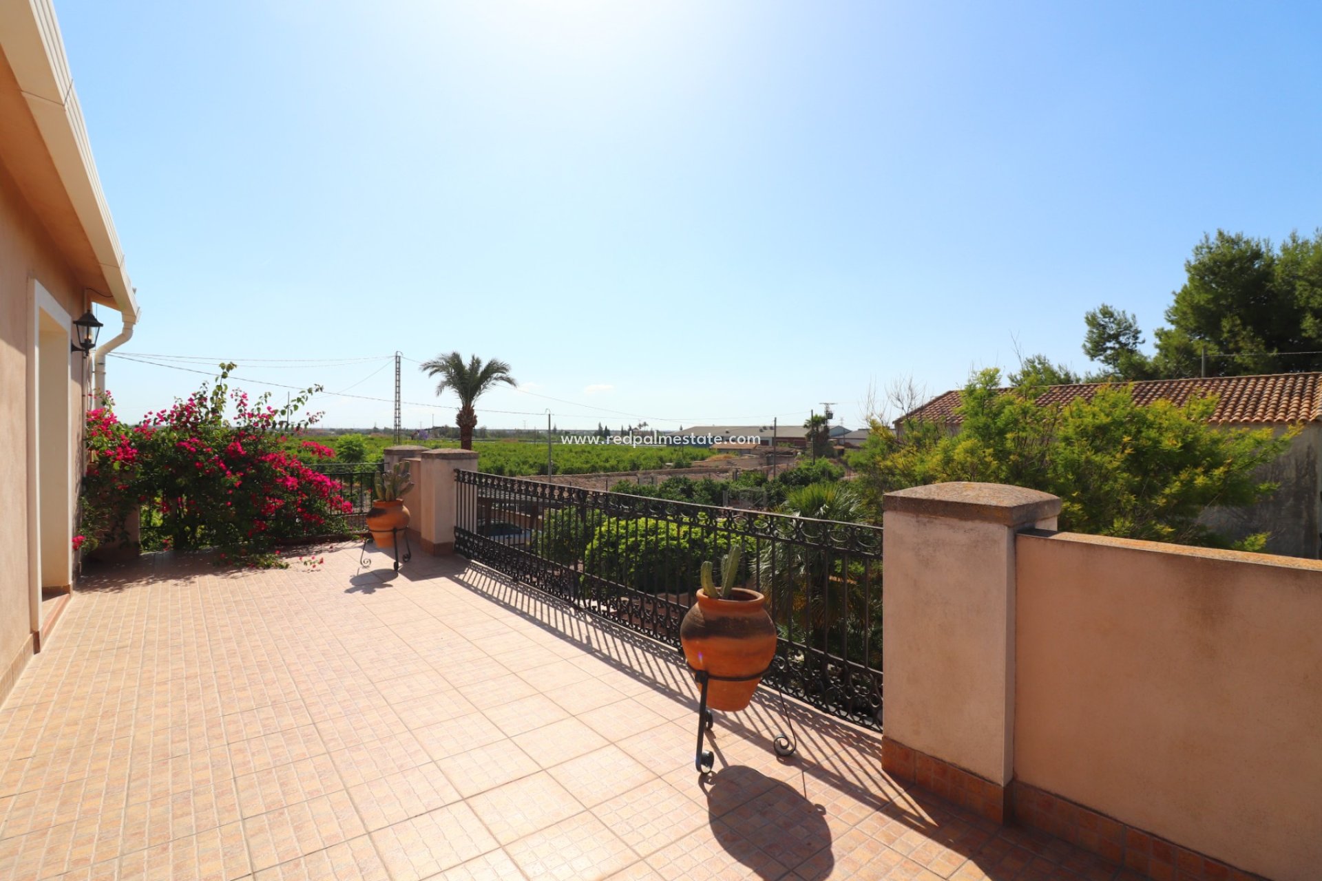 Resale - Finca / Country Property -
Albatera