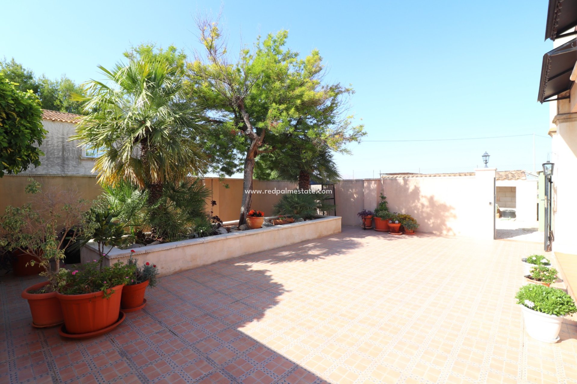 Resale - Finca / Country Property -
Albatera