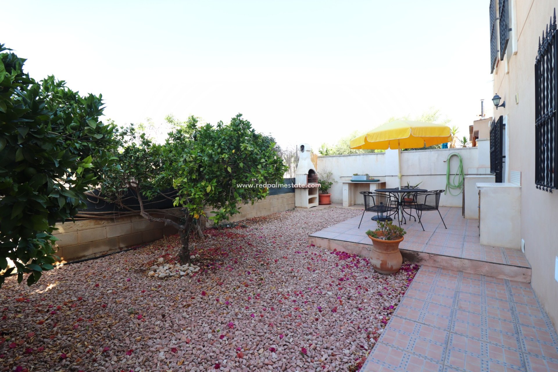 Resale - Finca / Country Property -
Albatera