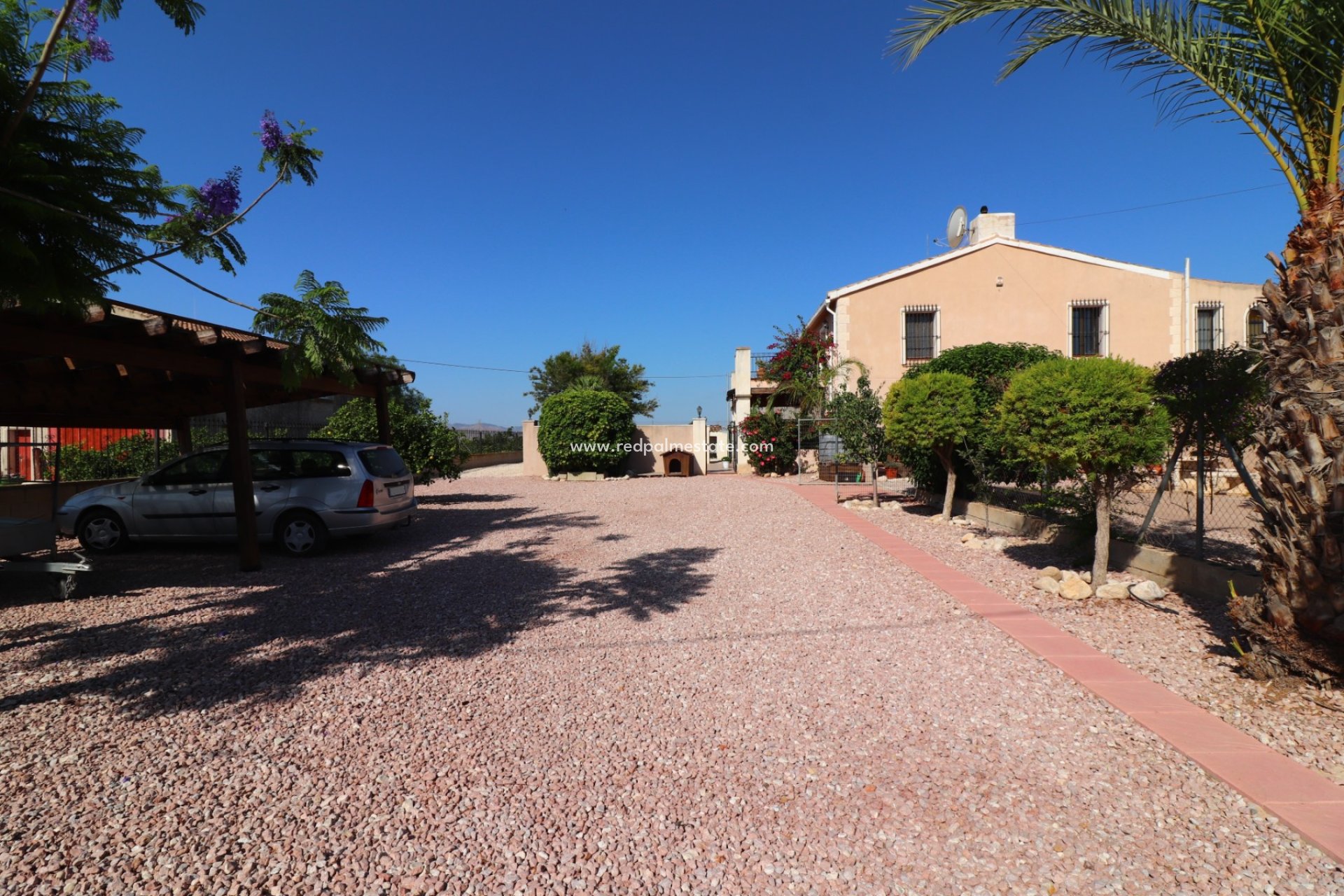 Resale - Finca / Country Property -
Albatera