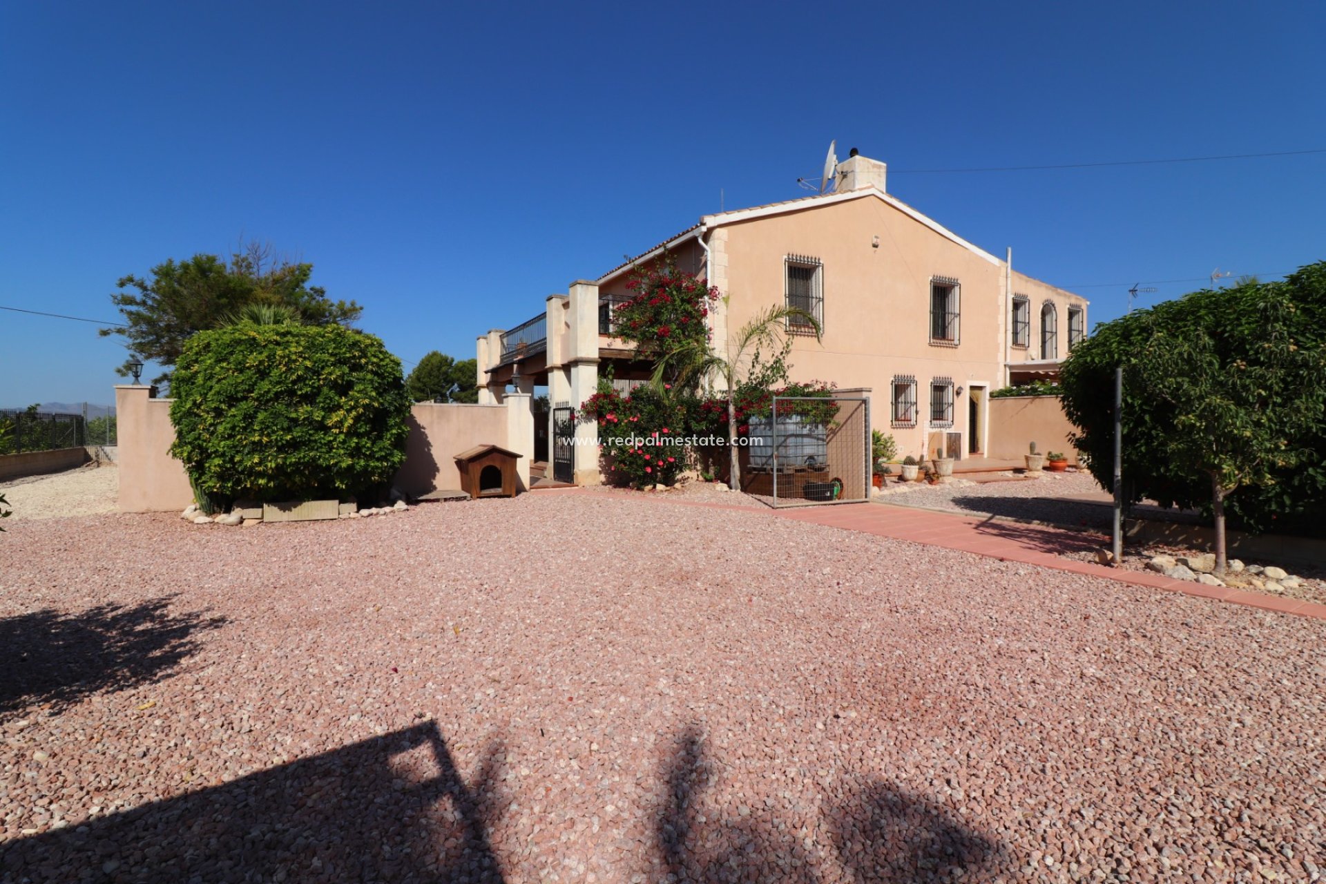 Resale - Finca / Country Property -
Albatera