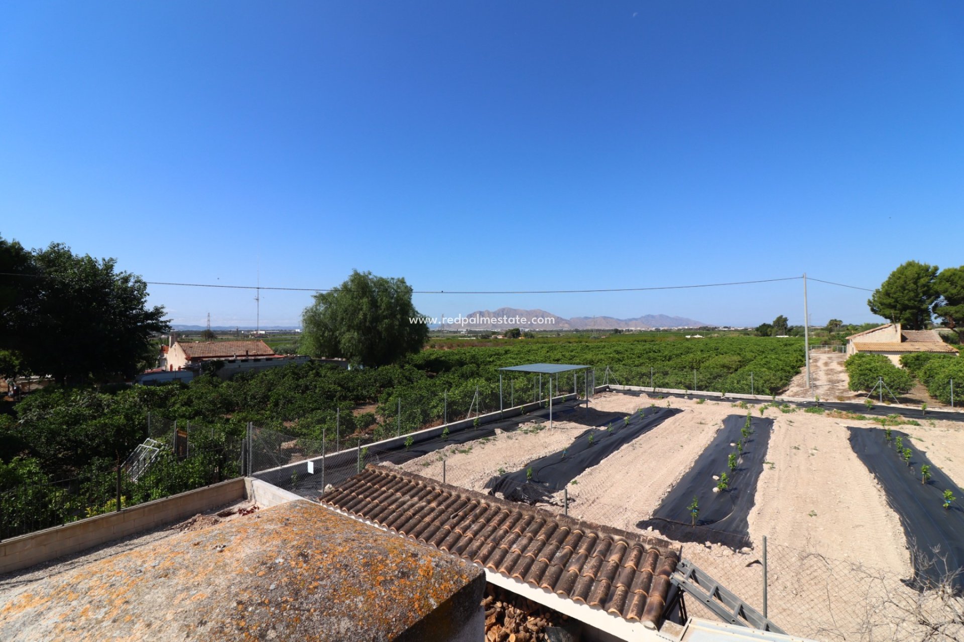 Resale - Finca / Country Property -
Albatera