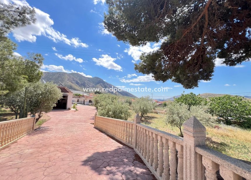 Resale - Finca / Country Property -
Algueña - Inland