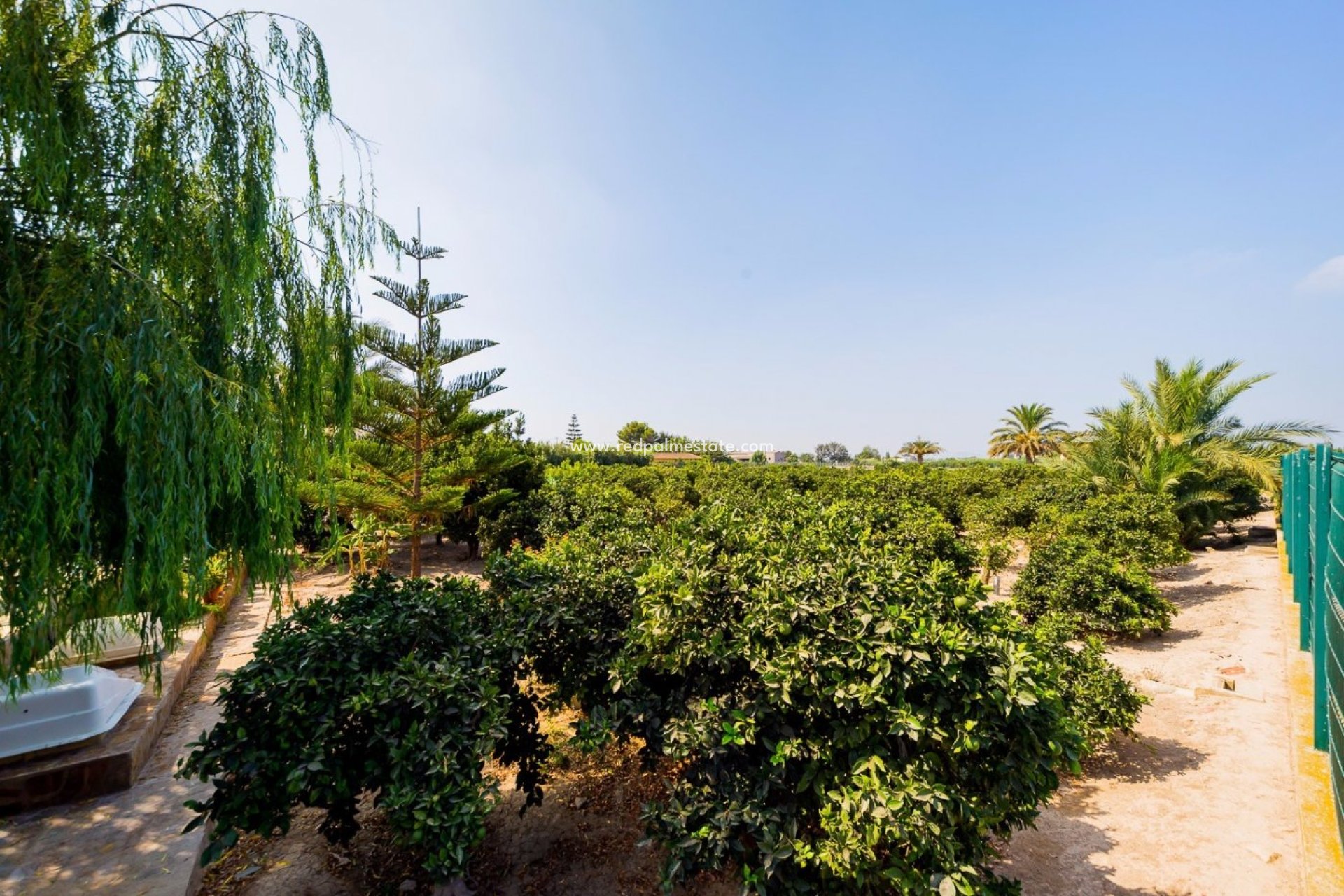 Resale - Finca / Country Property -
Almoradí - Camino De Catral