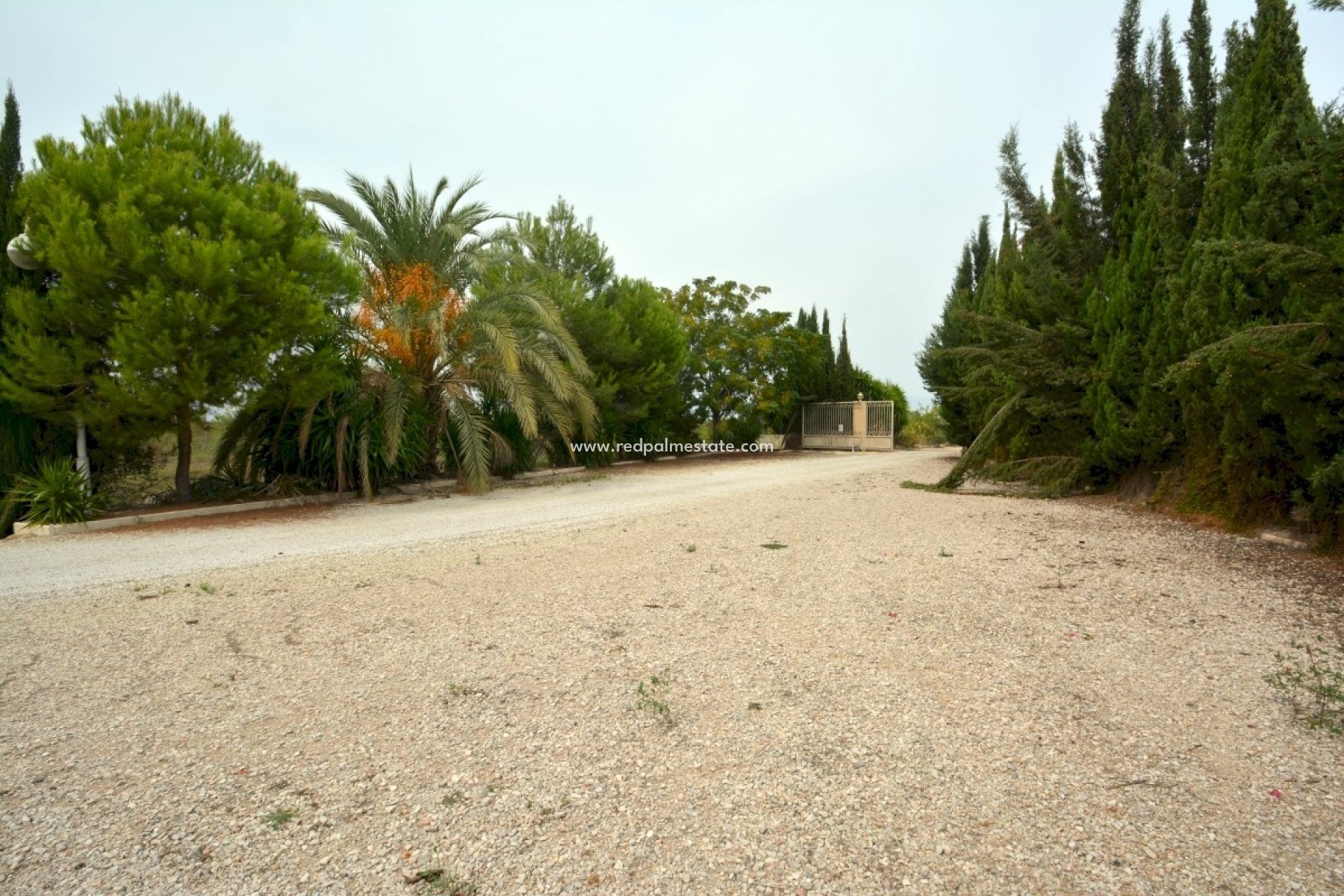 Resale - Finca / Country Property -
Almoradí - Inland