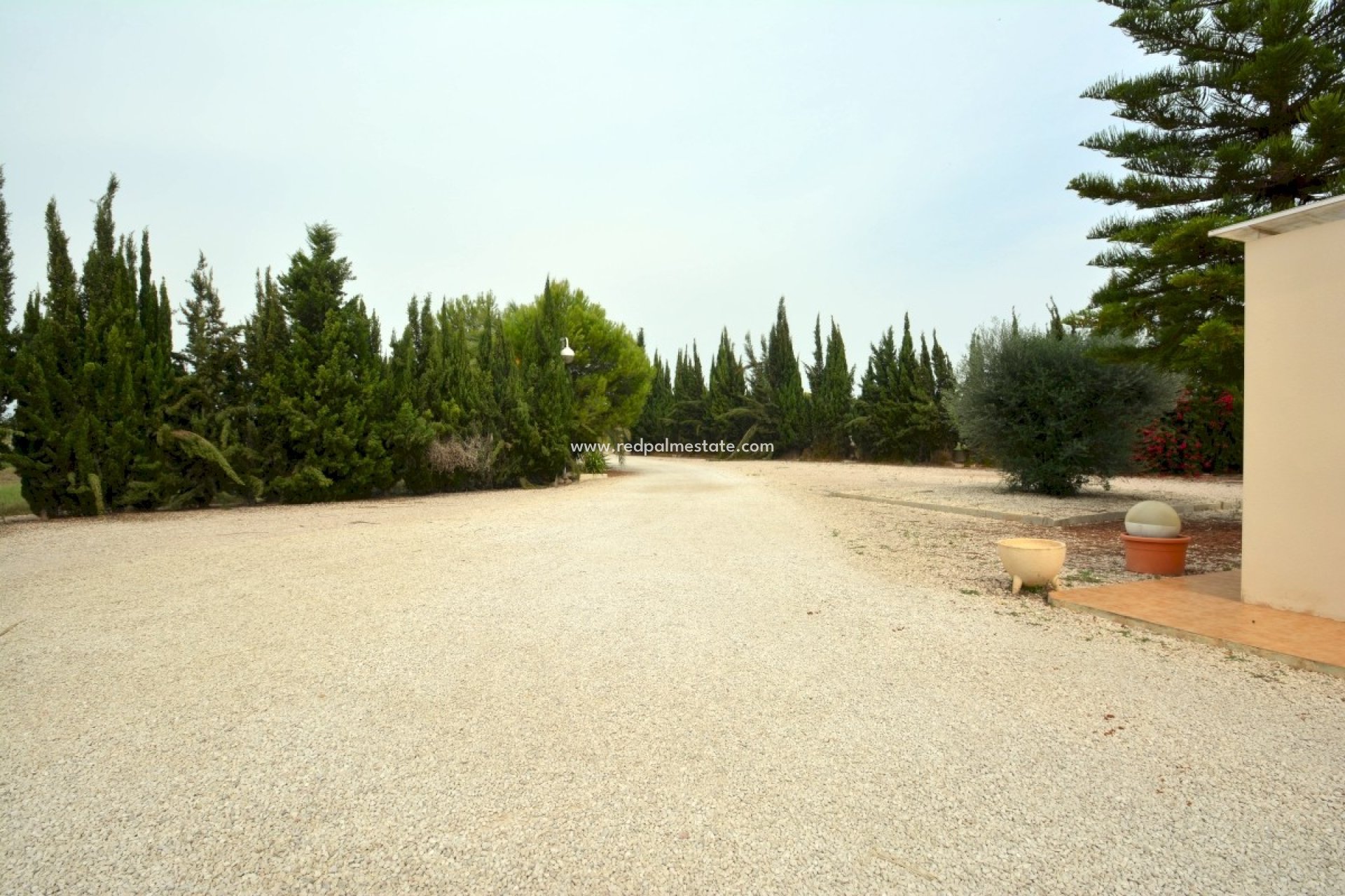 Resale - Finca / Country Property -
Almoradí - Inland