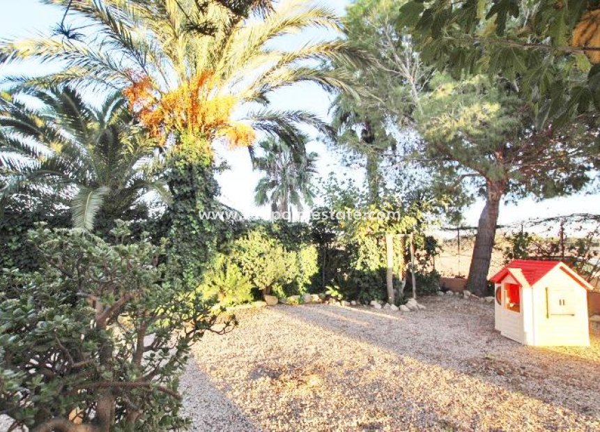 Resale - Finca / Country Property -
Almoradí