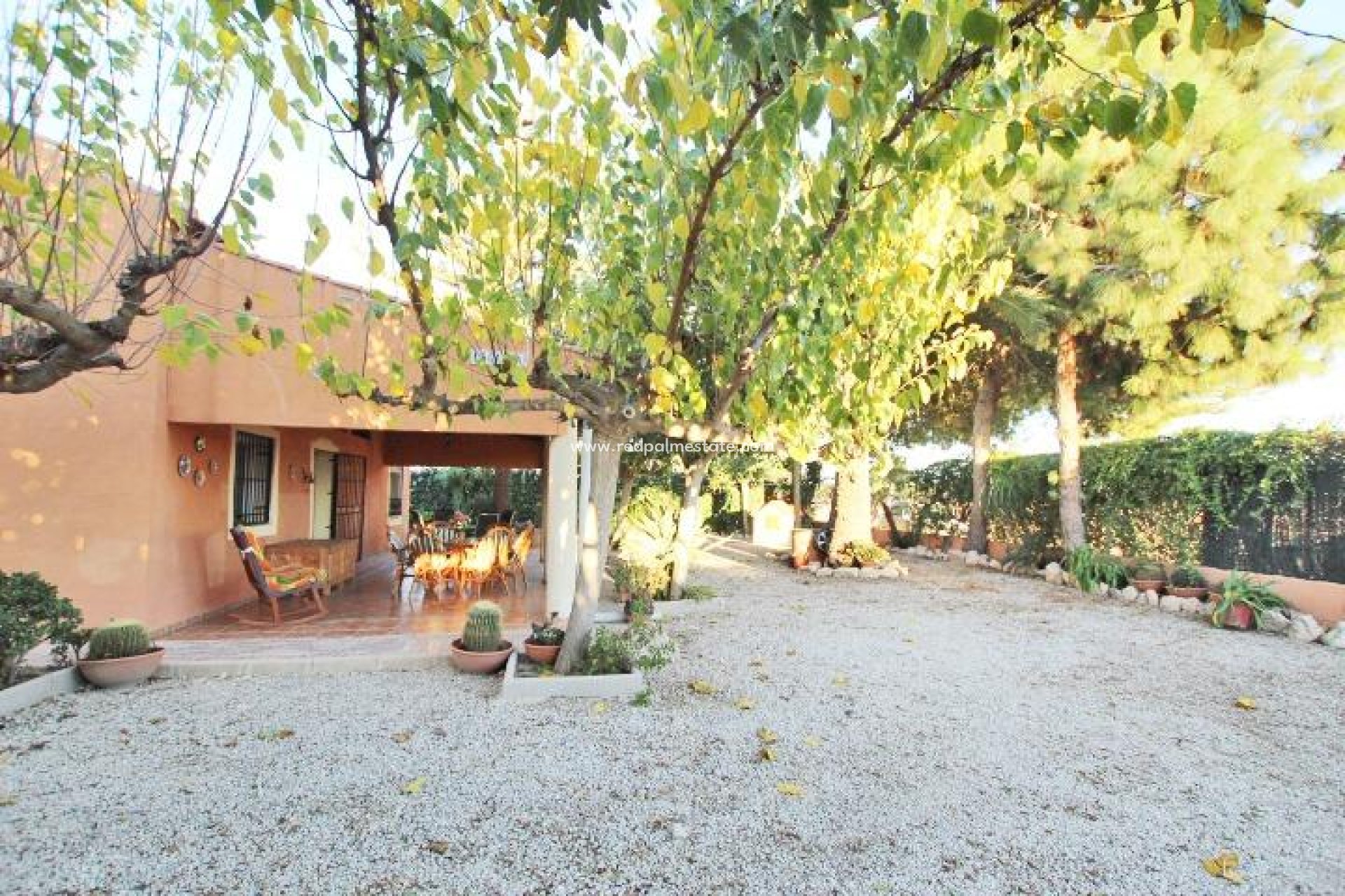 Resale - Finca / Country Property -
Almoradí