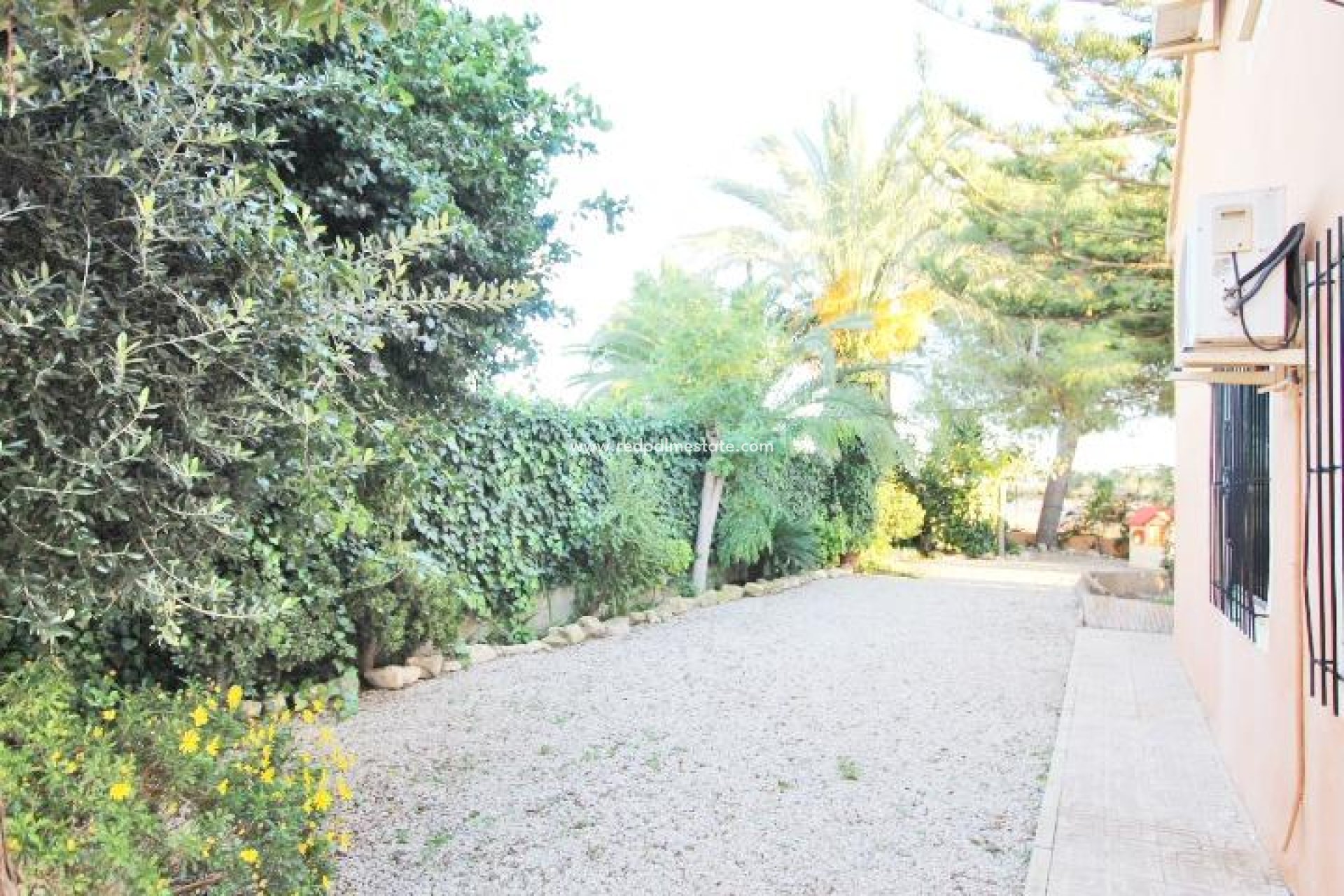 Resale - Finca / Country Property -
Almoradí