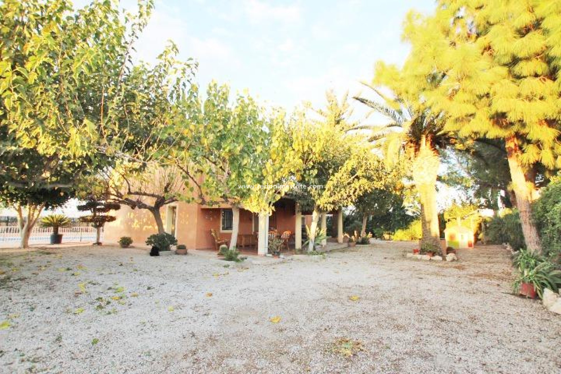 Resale - Finca / Country Property -
Almoradí
